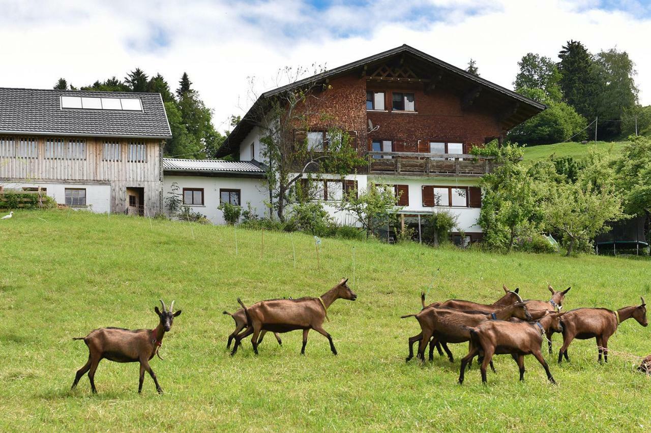 Appartement Ferien In Feld 109 à Langenegg Extérieur photo